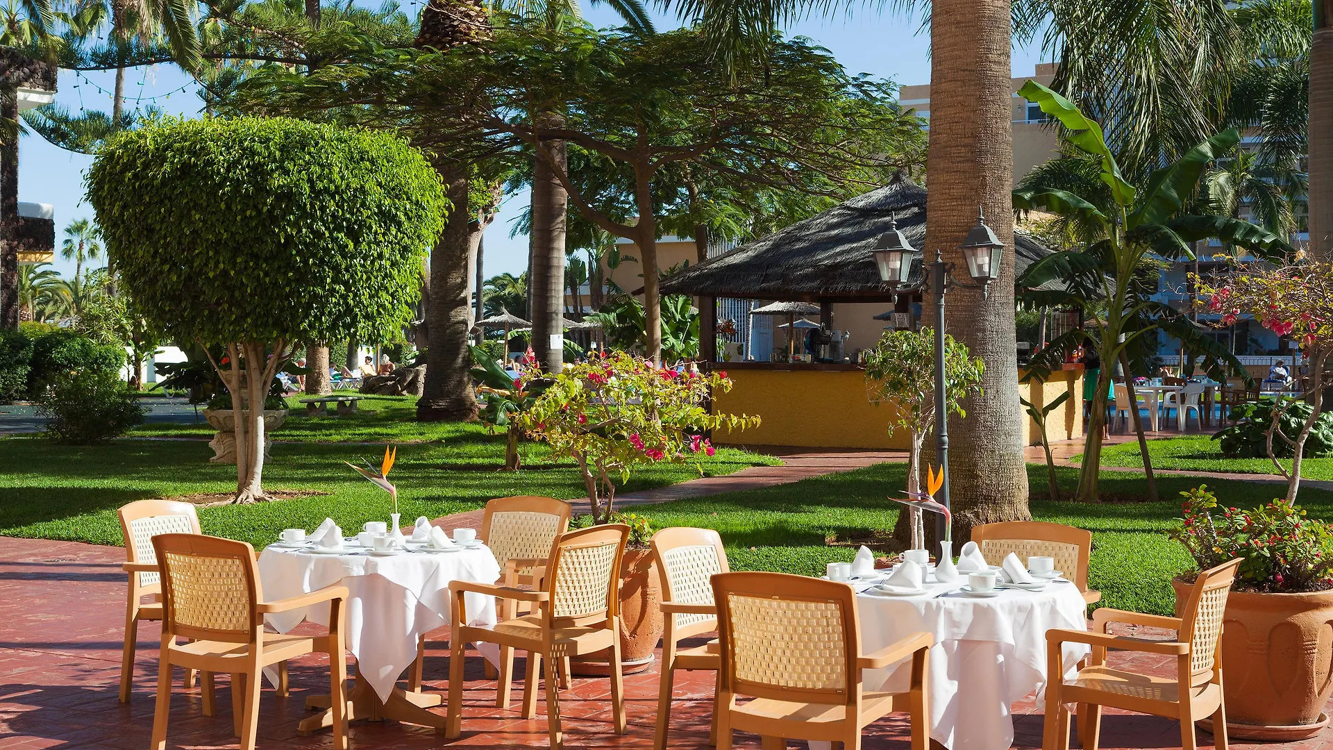 Complejo Bluesea Puerto Resort Compuesto Por Hotel Canarife Y Bonanza Palace Puerto de la Cruz  4*, Puerto de la Cruz (Tenerife)